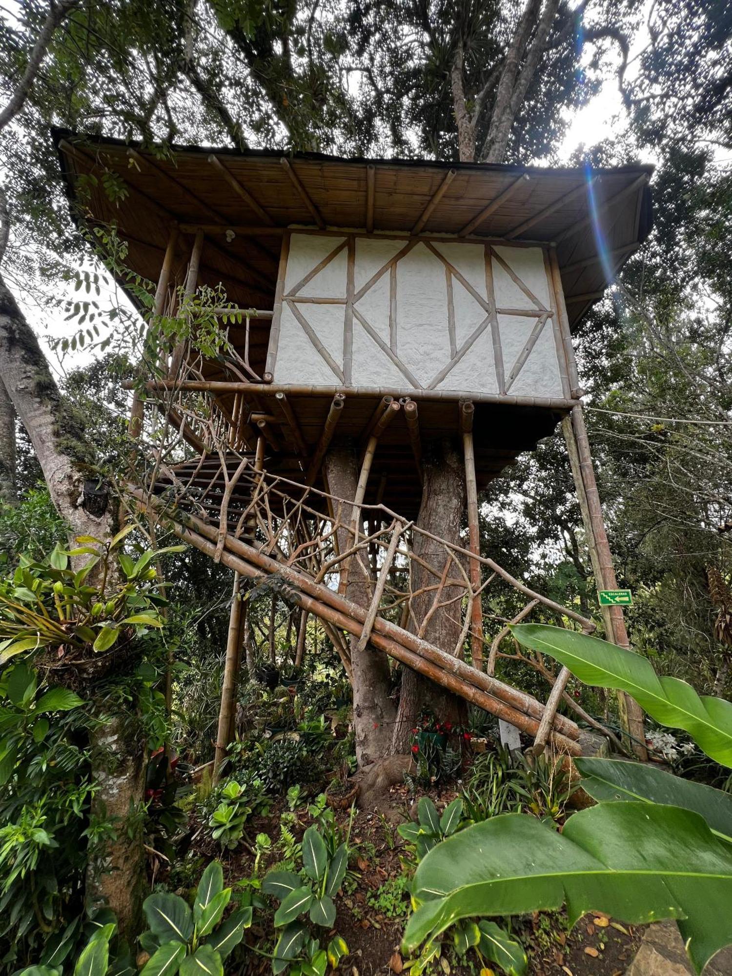 Finca El Cielo ซานออกุสติน ภายนอก รูปภาพ