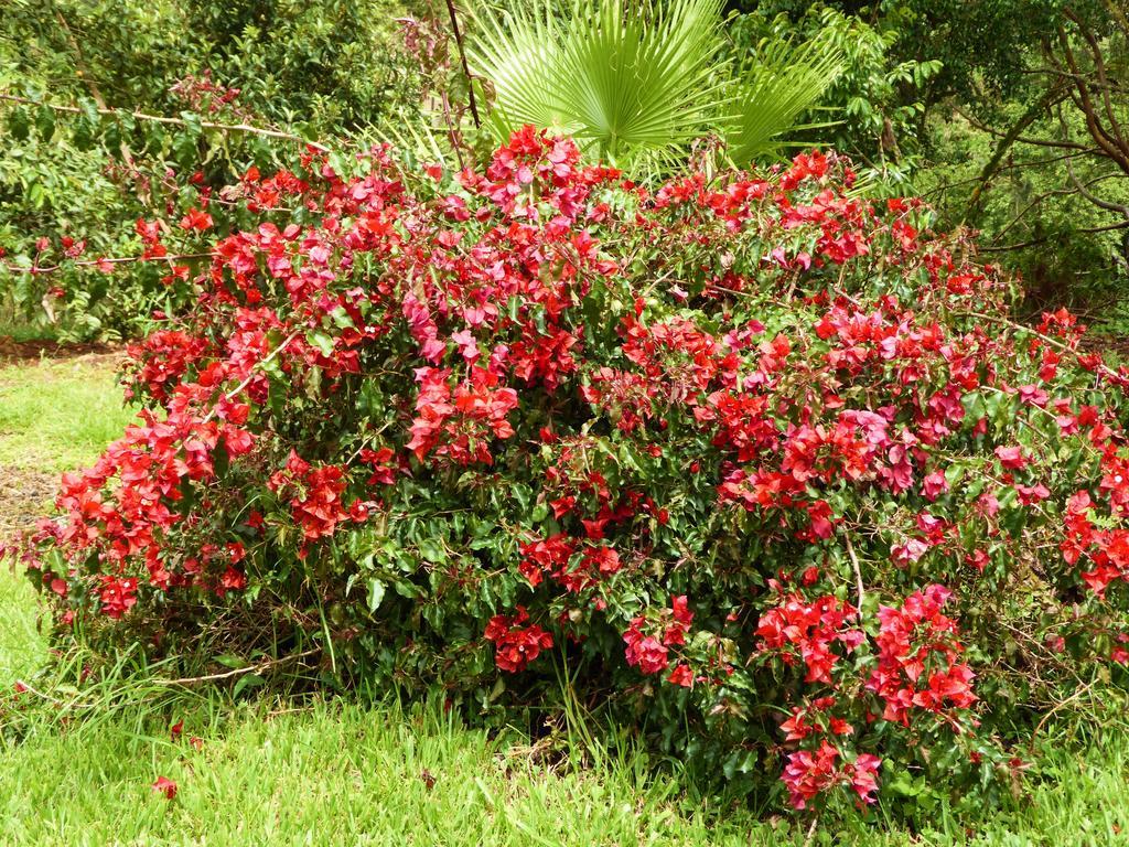 Finca El Cielo ซานออกุสติน ภายนอก รูปภาพ