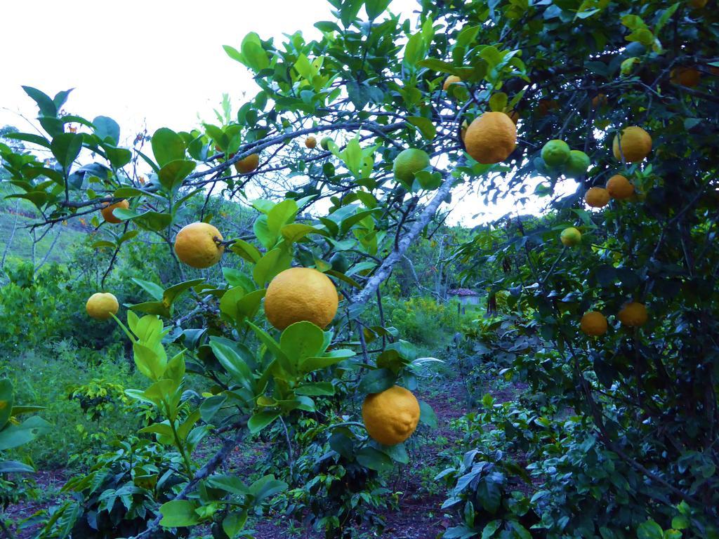 Finca El Cielo ซานออกุสติน ภายนอก รูปภาพ