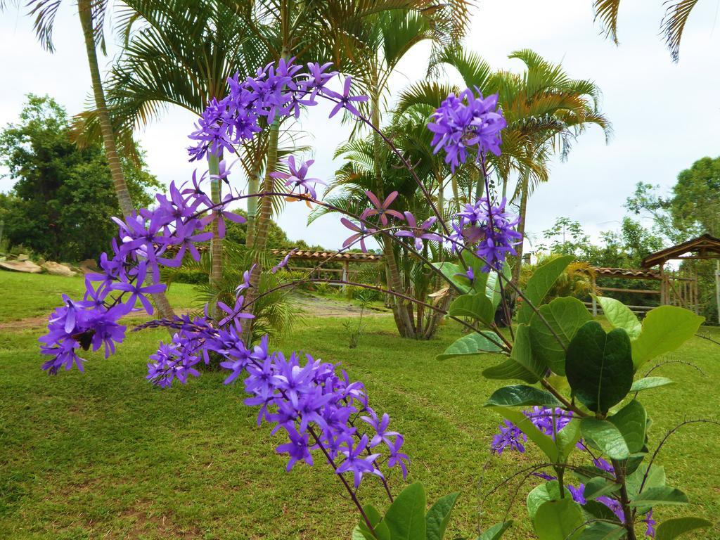 Finca El Cielo ซานออกุสติน ภายนอก รูปภาพ