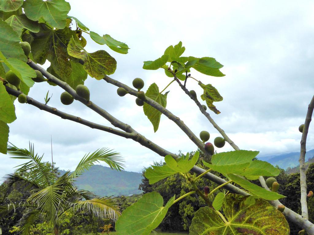 Finca El Cielo ซานออกุสติน ภายนอก รูปภาพ