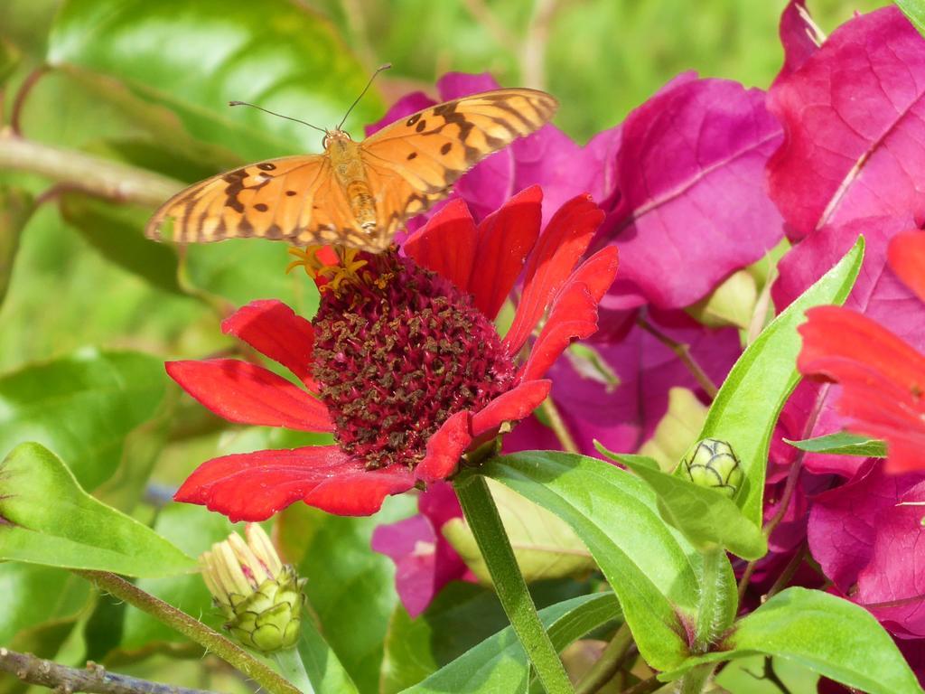 Finca El Cielo ซานออกุสติน ภายนอก รูปภาพ