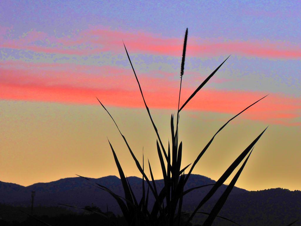 Finca El Cielo ซานออกุสติน ภายนอก รูปภาพ